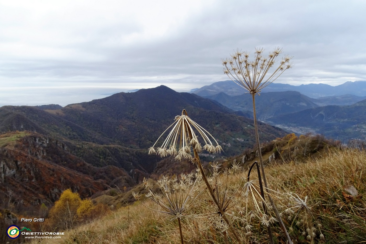 51 Dal sent. 531 sul Monte Costone vista verso il Canto Alto.JPG